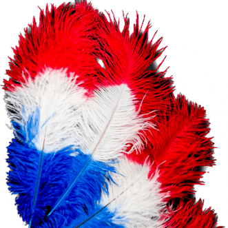Le 14 Juillet 2023
